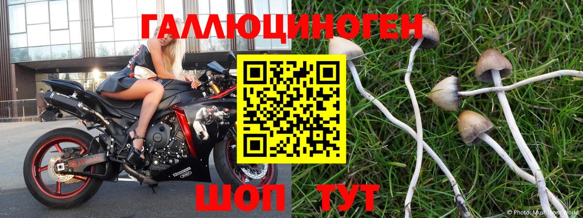 Галлюциногенные грибы Psilocybe  Псилоцибиновые грибы Magic Shrooms  Вход с VPN  Белорецк 