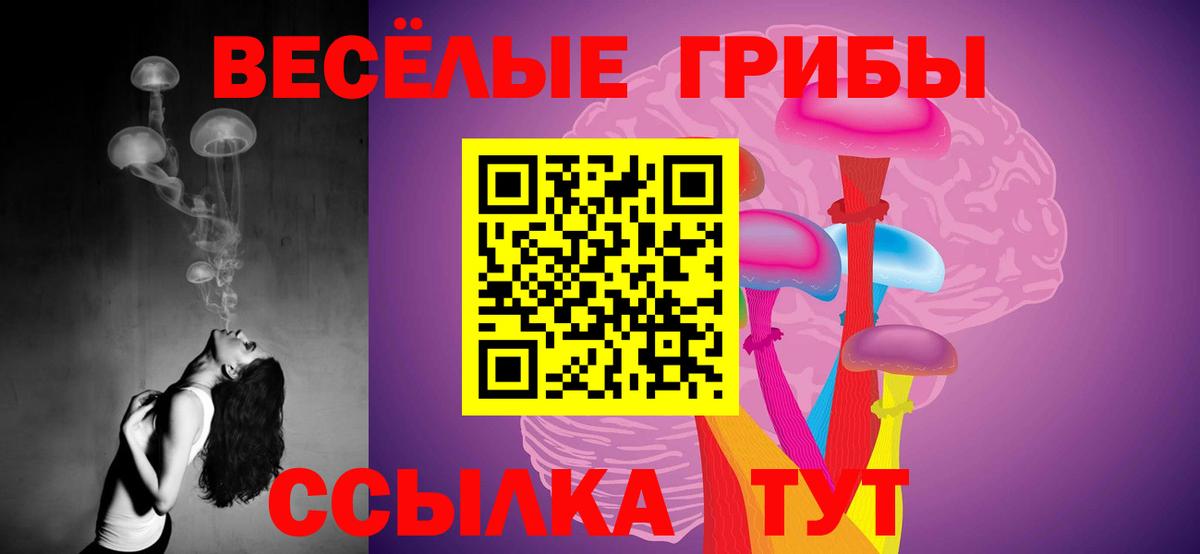 Галлюциногенные грибы прущие грибы Белорецк